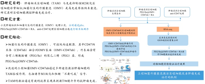 電子光學(xué)高潔凈度無(wú)塵車(chē)間工程